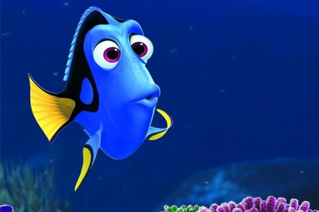 Dory Trabalho em Equipe